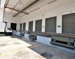 Logistech (D17), Factory #568046741